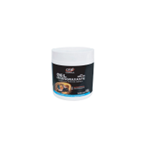 DESENGRAXANTE GEL 400G